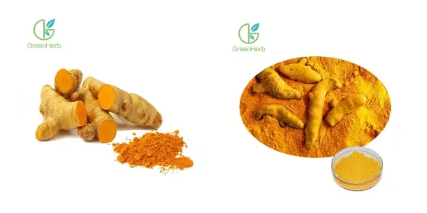 Turmeric.webp