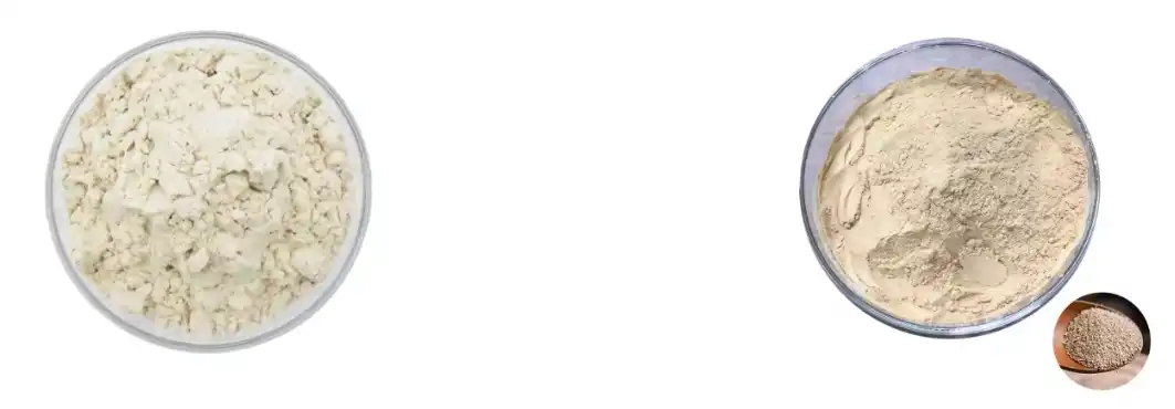 Yeast Beta Glucan Powder Yeast Beta Glucan Powder