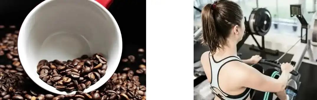 Phellinus Igniarius Extract Phellinus Igniarius Extract