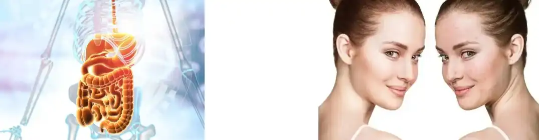 Phellinus Igniarius Extract Phellinus Igniarius Extract