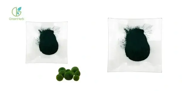  Chlorella Powder