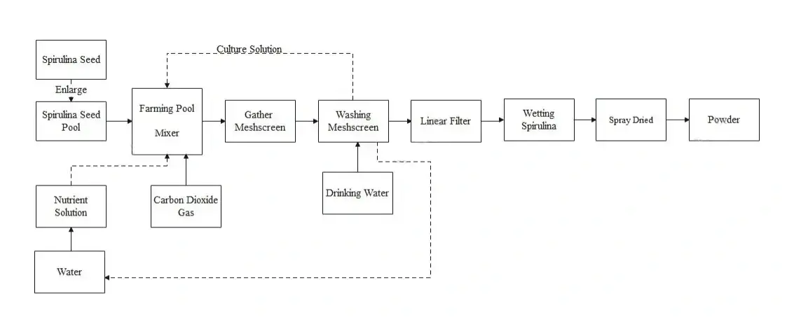 Flow Chart Of Spirulina Extract Powder1