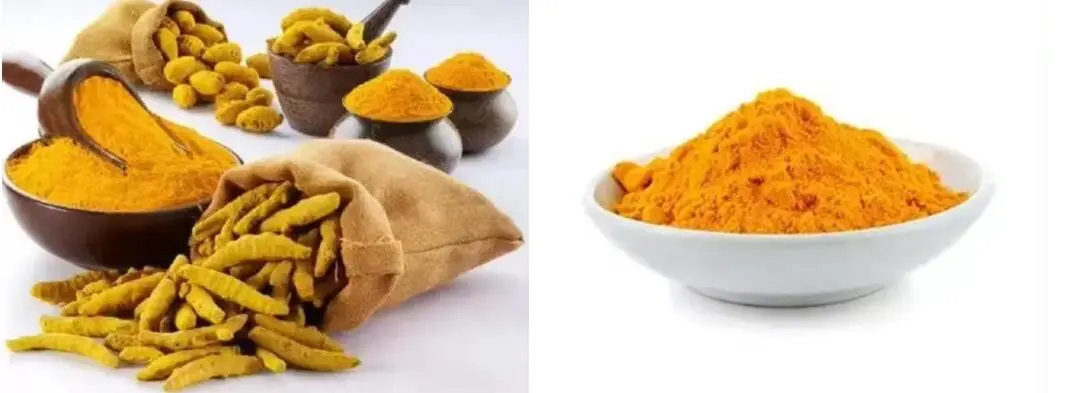 Turmeric Root Extract Powder Turmeric Root Extract Powder