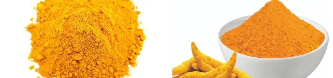 TURMERIC ROOT EXTRACT POWDER