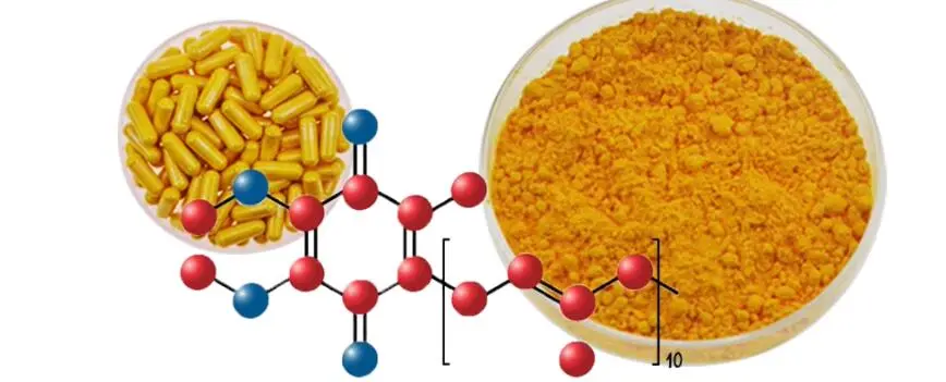 COENZYME Q10 POWDER