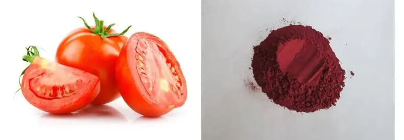 LYCOPENE POWDER