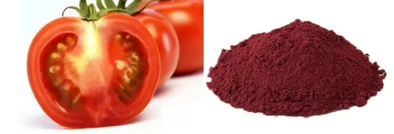 LYCOPENE POWDER