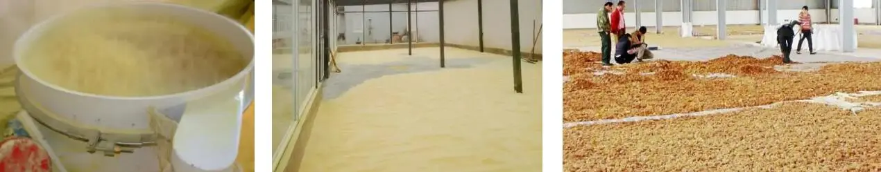 PINE POLLEN POWDER PINE POLLEN POWDER