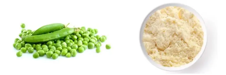 PURE PEA PROTEIN POWDER