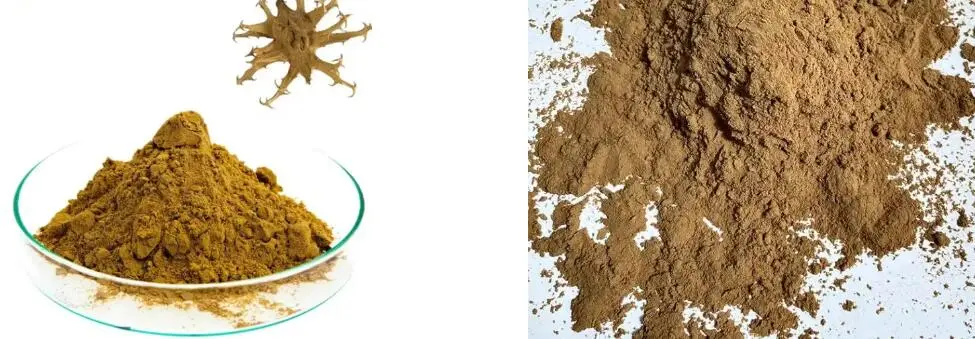 DEVIL'S CLAW ROOT EXTRACT