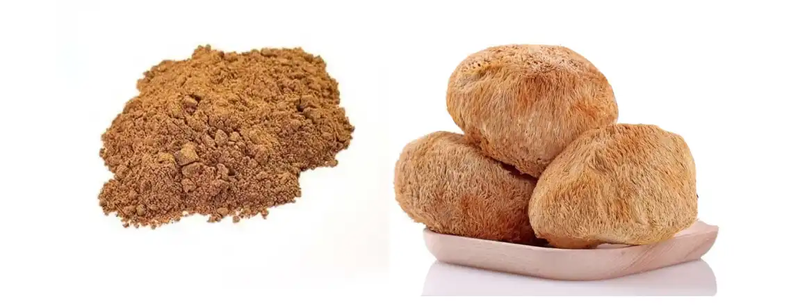 LION'S MANE MUSHROOM EXTRACT POWDER