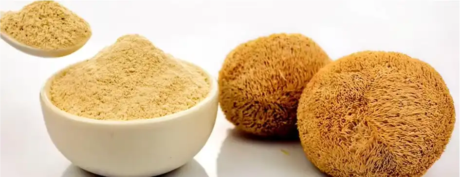 https://www.greenherbnutra.com/mushroom-extract/lion-s-mane-mushroom-extract-powder