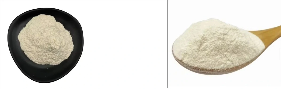 YEAST BETA GLUCAN POWDER YEAST BETA GLUCAN POWDER