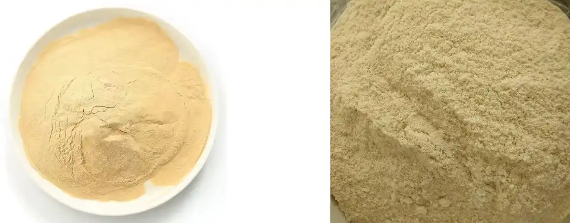 Ano ang mga benepisyo sa kalusugan ng Yeast Beta Glucan Powder?