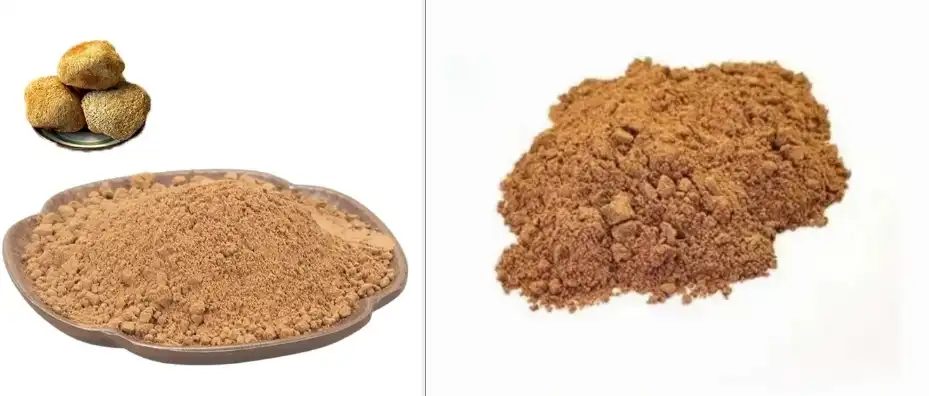 LION'S MANE MUSHROOM EXTRACT POWDER