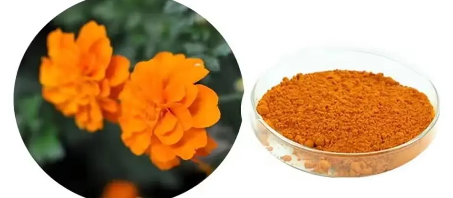 ZEAXANTHIN POWDER