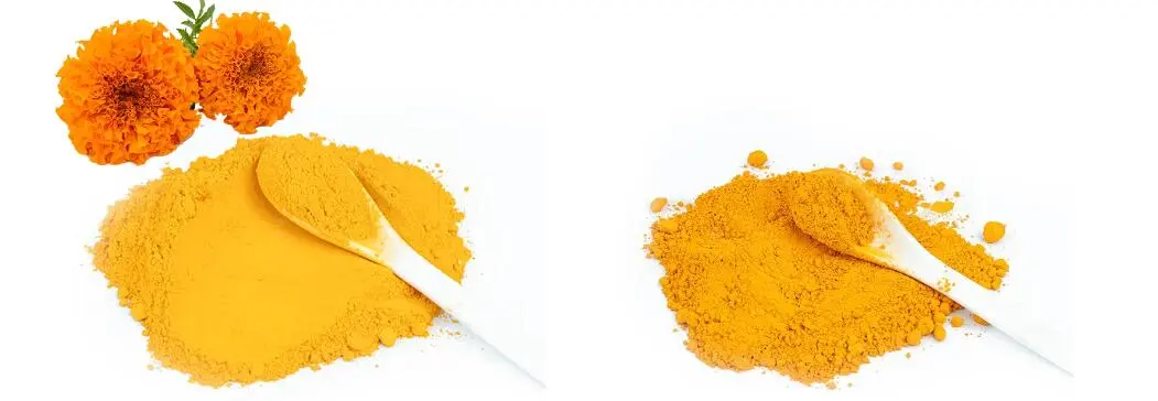 ZEAXANTHIN POWDER