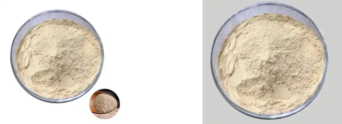 YEAST BETA GLUCAN POWDER YEAST BETA GLUCAN POWDER