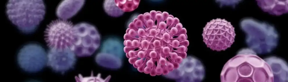 YEAST BETA GLUCAN POWDER YEAST BETA GLUCAN POWDER