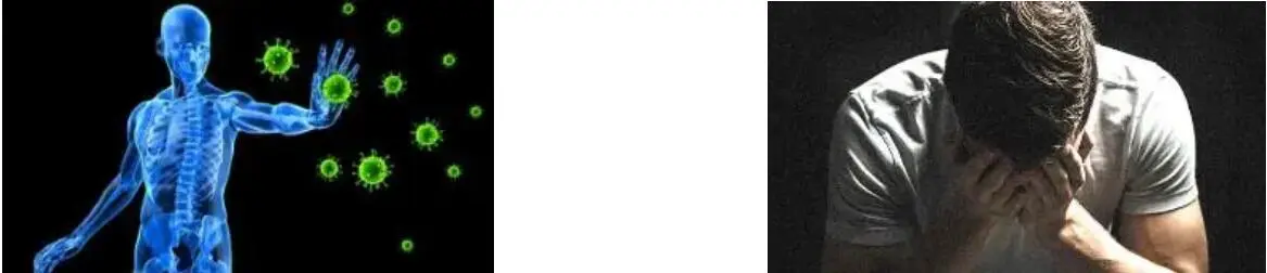 ZEAXANTHIN POWDER ZEAXANTHIN POWDER