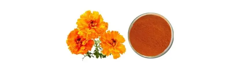 ZEAXANTHIN POWDER